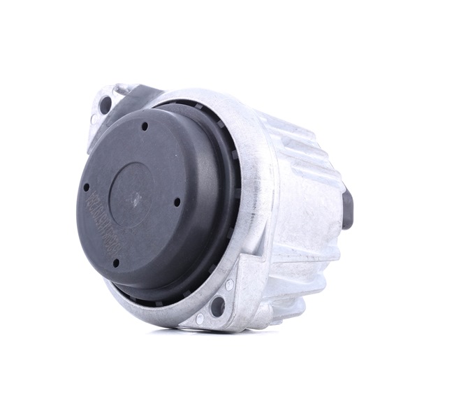 RIDEX 247E0534 Motorophæng BMW 3 Touring (E91) 211 HK Benzin hvad koster