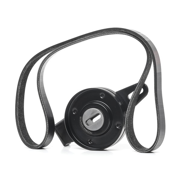 RIDEX 542R0551: Zestaw paska klinowego wielorowkowego