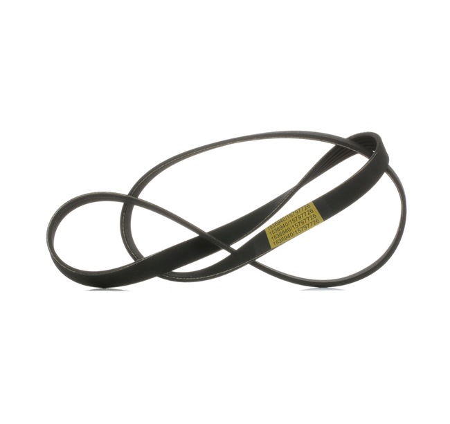 RIDEX 305P0474: Multiriem 1236mm, Ribbenaantal: 5, Elastic