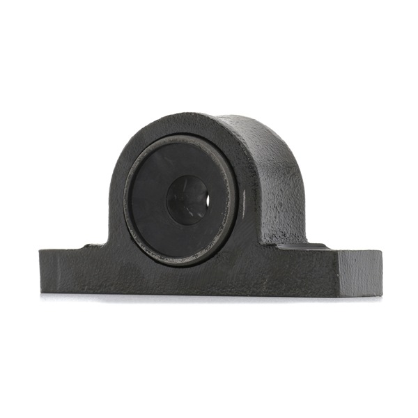 RIDEX 251T0715 Lagerung, Lenker JEEP Commander (XK, XH) 231 PS Benzin Kosten