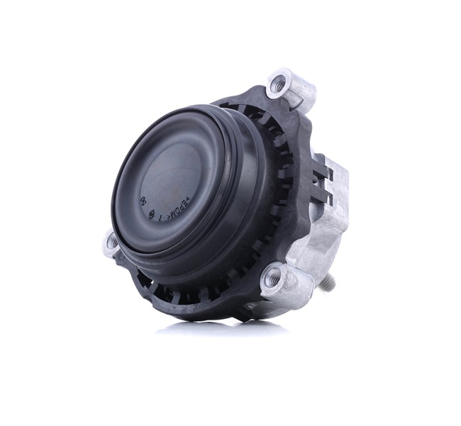 RIDEX 247E0542 Motorophæng BMW 1 Hatchback (F20) 136 HK Diesel hvad koster