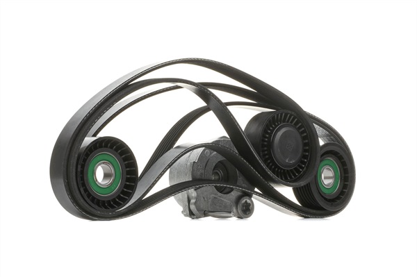 DAYCO KPV444: Set curea transmisie cu caneluri