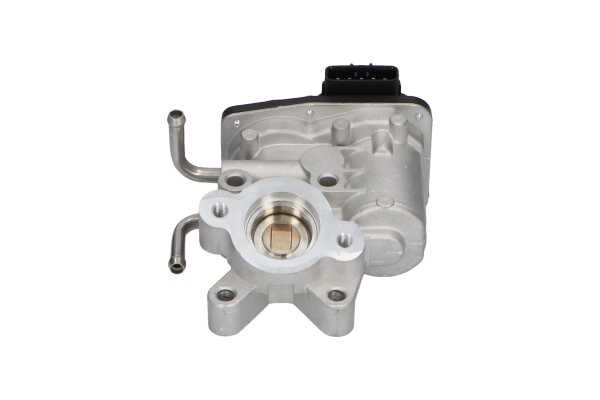 KAVO PARTS EEG-8003: AGR-Ventil mit Dichtung