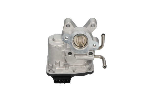 KAVO PARTS EEG-8005: AGR-Ventil mit Dichtung