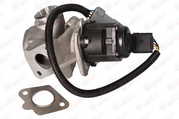 BIRTH 90057: AGR-Ventil mit Temperatursensor, mit Dichtung
