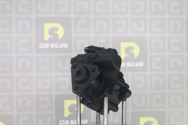 DA SILVA DP3680: Servopumpe