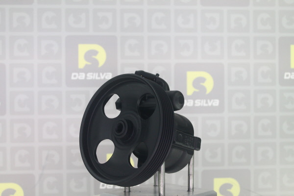 DA SILVA DP3689: Servopumpe