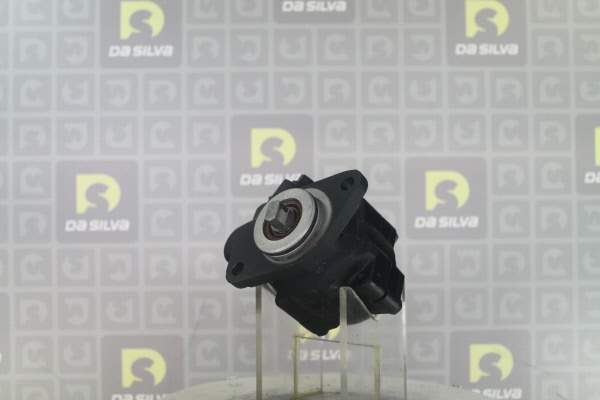 DA SILVA DP3709: Servopumpe ohne Behälter