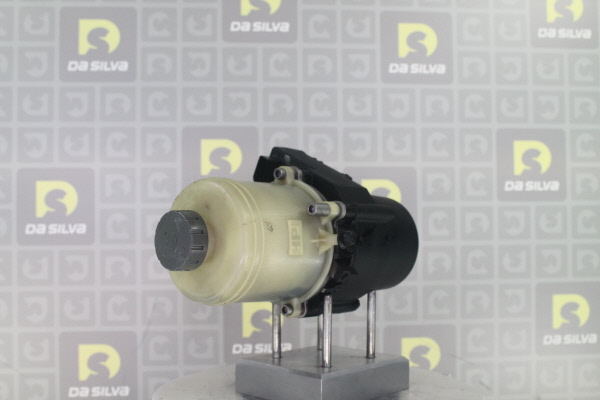 DA SILVA DP5013: Servopumpe mit Behälter