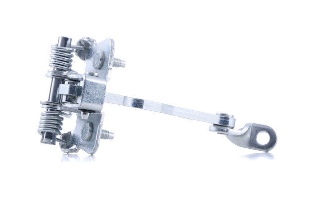 FAST FT95631 Fixare usa RENAULT KANGOO Express (FW0/1_) 90 CP motor diesel cat costa