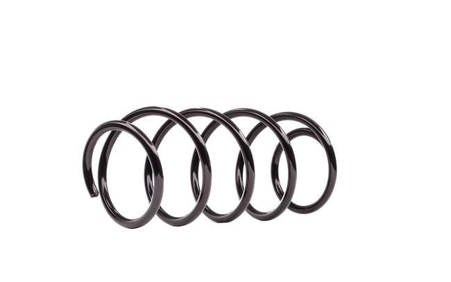 DACO Germany 800930 Federn FIAT PANDA (169) 1.2 (169.AXB11, 169.AXB1A) 60 PS Benzin