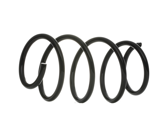 DACO Germany 803043 Chassisveer RENAULT SCENIC 3 (JZ0/1) 95 Pk Diesel kosten