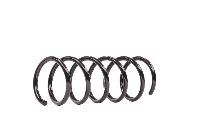 DACO Germany 810930 Federn FIAT PANDA (169) 1.2 (169.AXB11, 169.AXB1A) 60 PS Benzin