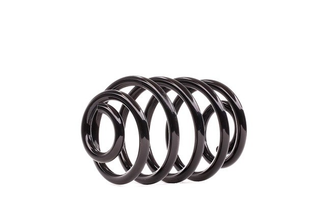 DACO Germany 813001 Federn RENAULT CLIO 2 (BB0/1/2, CB0/1/2) 1.5 dCi 57 PS Diesel