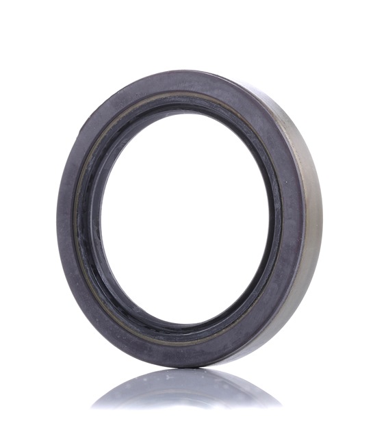 AIC 55413: Anillo sensor, ABS PARTES DE LA NUEVA MOVILIDAD Eje delantero, izquierda, Eje delantero, derecha, magnético