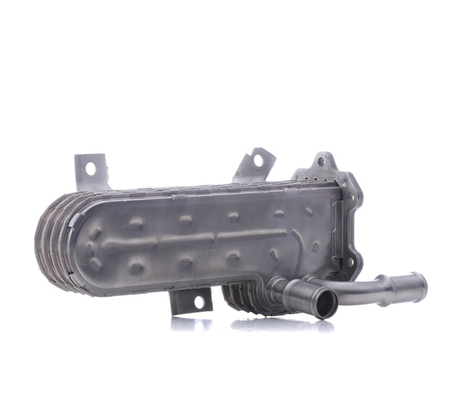 RIDEX 4032C0033: Radiador EGR
