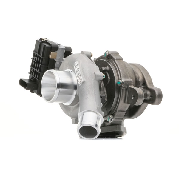 RIDEX 2234C10150 Turbolader FORD Transit Custom V362 Minibuss (F3) 125 hk Diesel hva koster