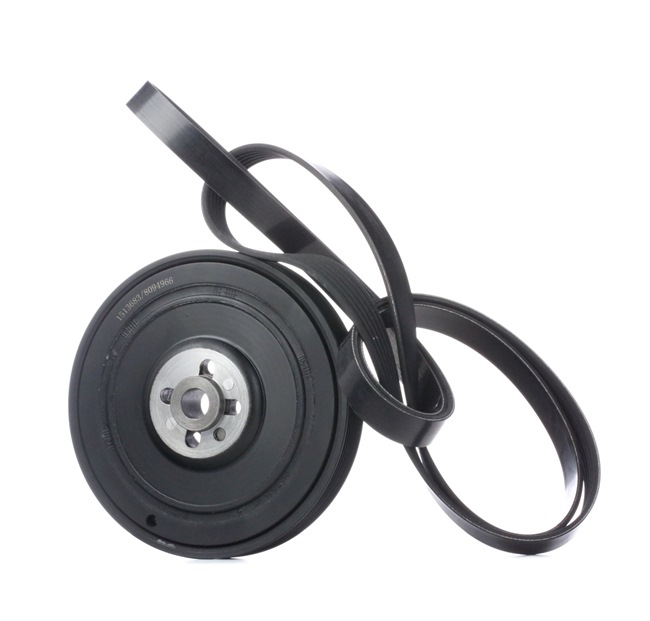 RIDEX 542R0563 Poly V-riem set VOLKSWAGEN Transporter 4 (70E, 70L, 70M, 7DE, 7DL) 110 Pk Benzine kosten