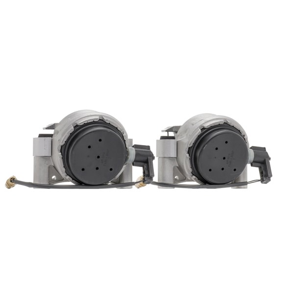 RIDEX 247E0584: Motorlager beidseitig