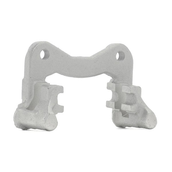 RIDEX 1009C0100: Bremssattelhalter