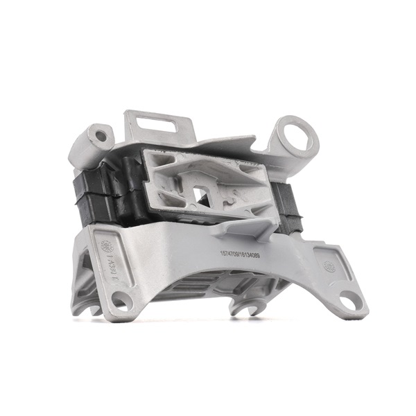 RIDEX 247E0603 Piekare, Dzinējs RENAULT SCENIC 3 (JZ0/1) 131 ZS Benzīns cena