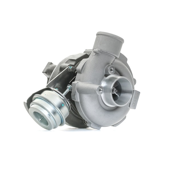 RIDEX 2234C10171 Turbokompresors RENAULT MODUS / GRAND MODUS (F/JP0_) 75 ZS Benzīns cena