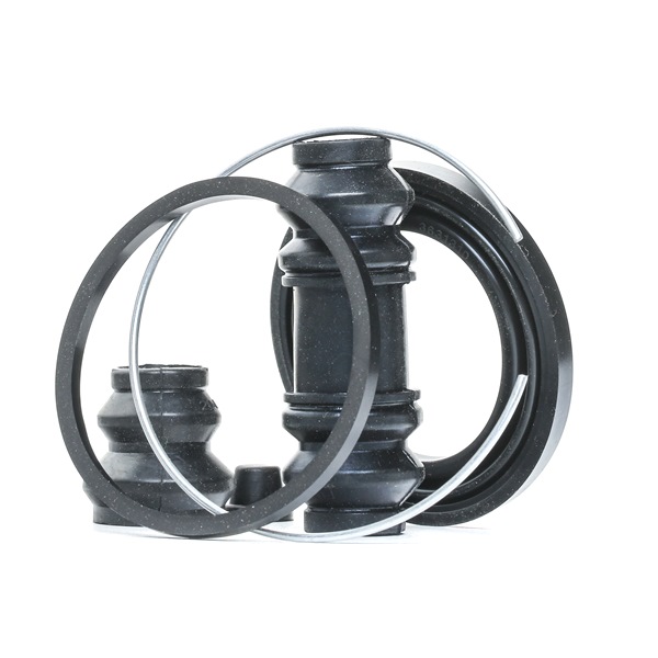 RIDEX 405R0300: Bremssattel-Reparatursatz