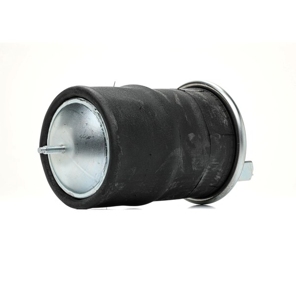 RIDEX 4119A0060: Luftfeder, Fahrwerk