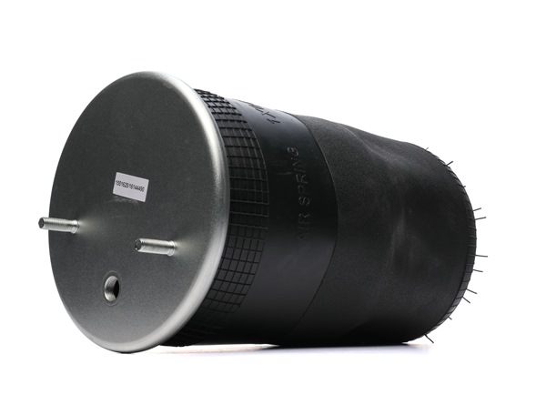 RIDEX 4119A0062: Pernă de aer