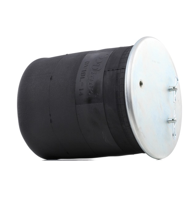 RIDEX 4119A0064: Luftfeder, Fahrwerk Hinterachse