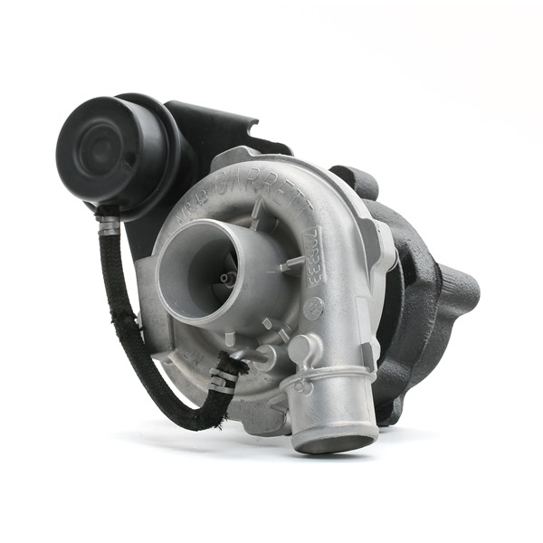 RIDEX REMAN 2234C10194R: Turbolader inkl. Dichtungssatz