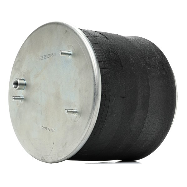 RIDEX 4119A0068: Luftfeder, Fahrwerk