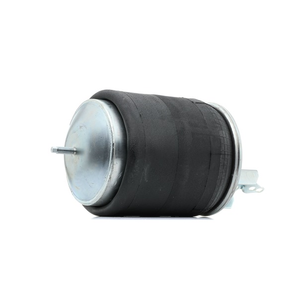 RIDEX 4119A0069: Luftfeder, Fahrwerk