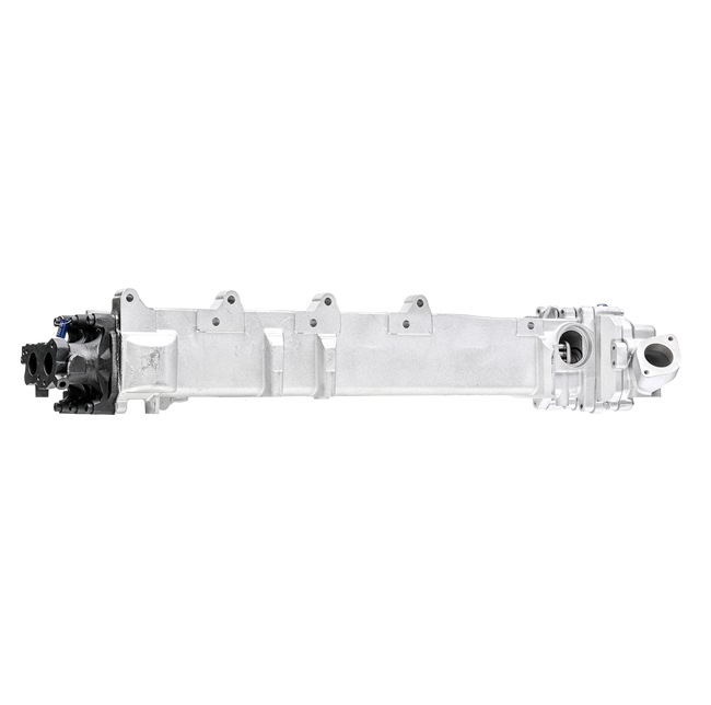 RIDEX REMAN 4198E0047R: EGR-modul