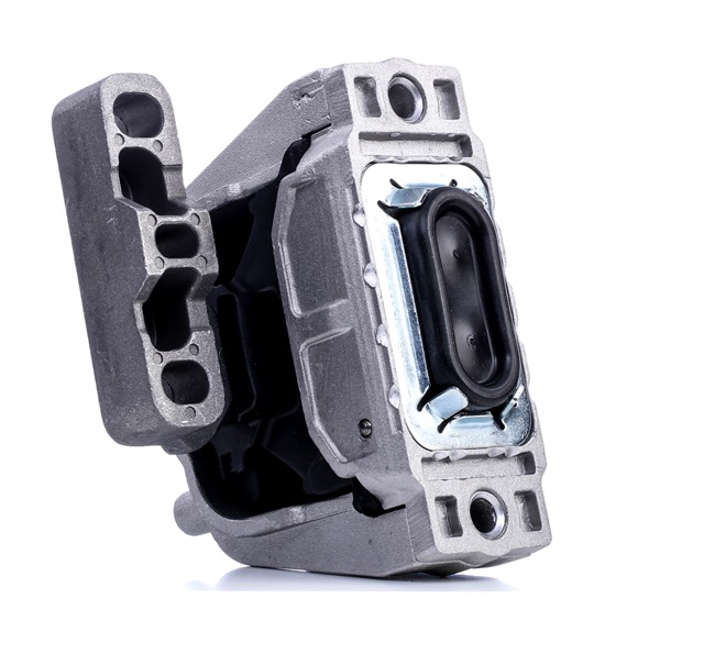RIDEX 247E0613 Variklio montavimas VOLKSWAGEN CADDY ALLTRACK Variant (SAB) 102 AG dyzelinas kaina