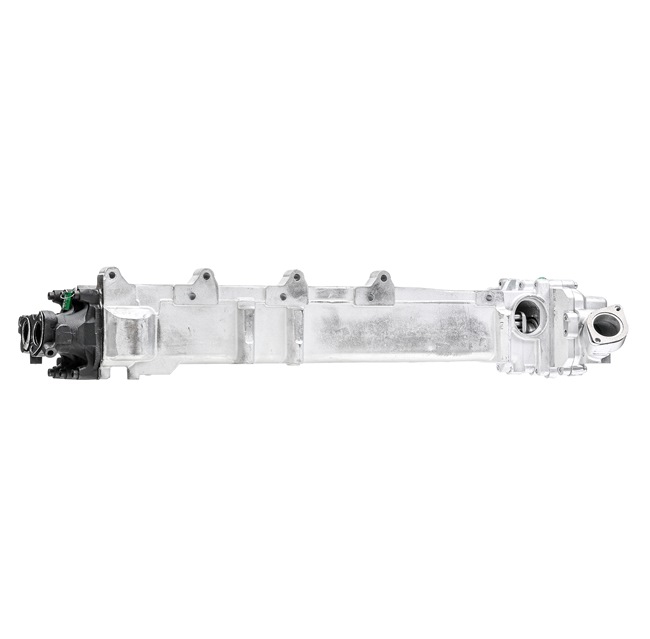 RIDEX REMAN 4198E0050R: EGR module