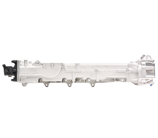 RIDEX REMAN 4198E0051R: EGR module