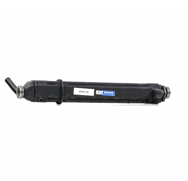 RIDEX REMAN 4198E0054R: EGR-modul