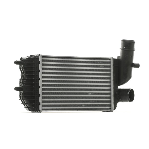 RIDEX 468I0163 Ladeluftkühler FIAT DUCATO Bus (230) 128 PS Diesel Kosten