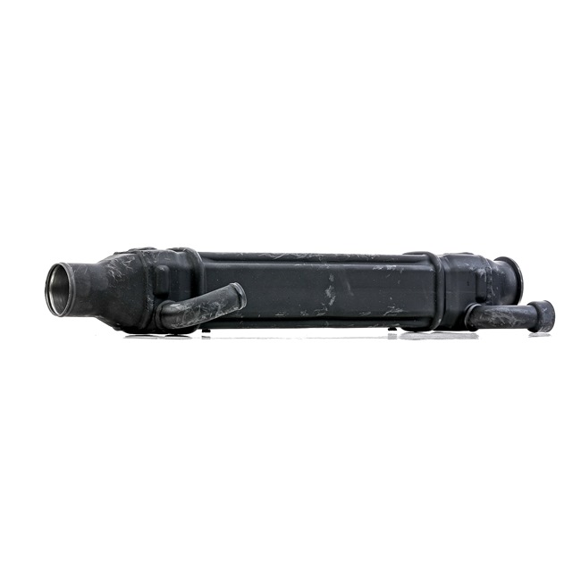 RIDEX REMAN 4198E0055R: Module-EGR
