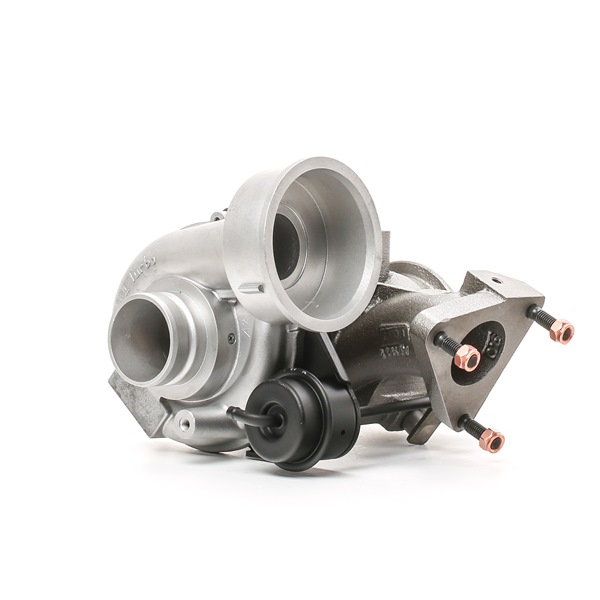 RIDEX REMAN 2234C0424R: Turbolader mit Dichtungen