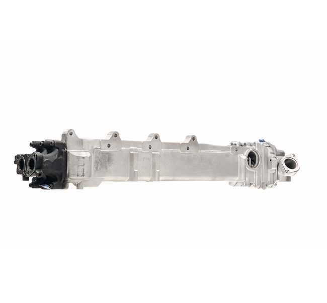 RIDEX REMAN 4198E0056R: EGR module