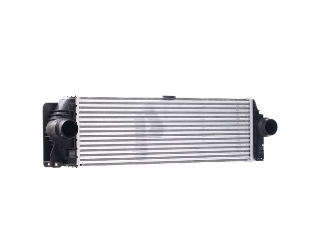 RIDEX 468I0169: Interkuleris