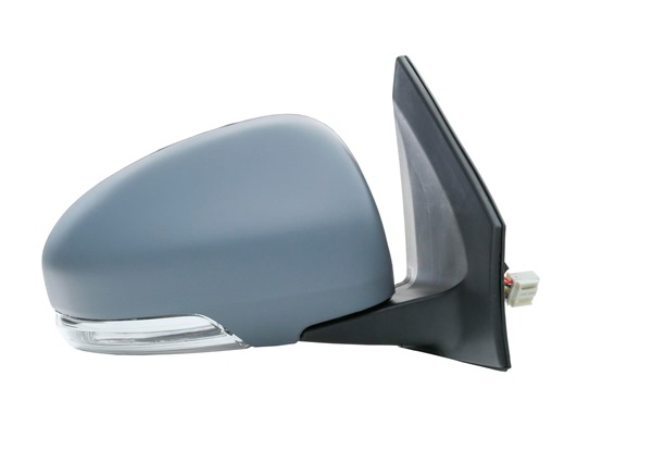 RIDEX 50O0904: Espejo retrovisor derecha