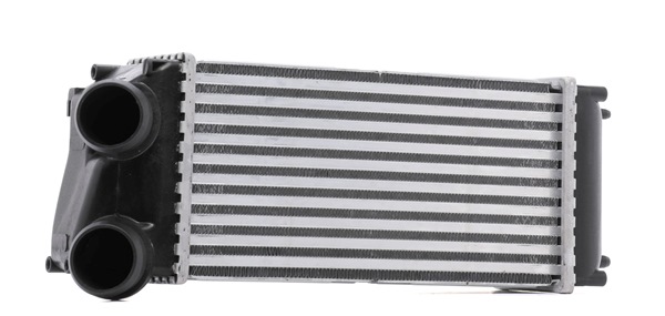 RIDEX 468I0219: Intercooler