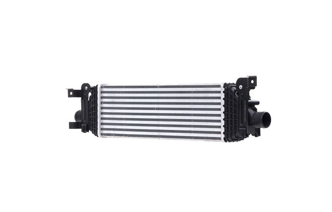 RIDEX 468I0301: Intercooler