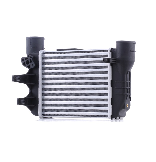RIDEX 468I0303 Ladeluftkühler AUDI A4 Avant (8ED, B7) 163 PS Benzin Kosten