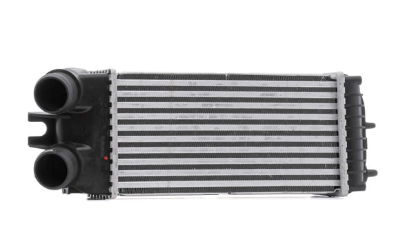 RIDEX 468I0311: Intercooler