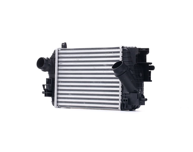 RIDEX 468I0321: Ladeluftkühler Netzmaße: 315x218x64