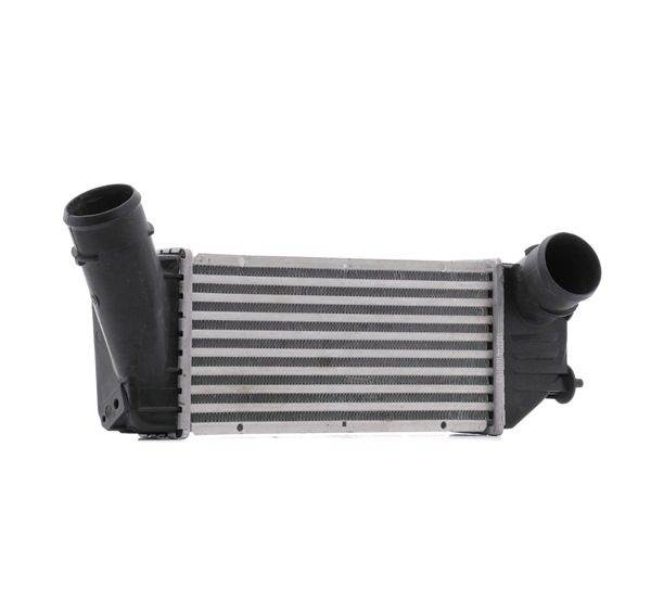 RIDEX 468I0325: Intercooler bez zaworu AGR